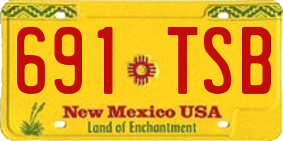 NM license plate 691TSB