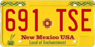 NM license plate 691TSE