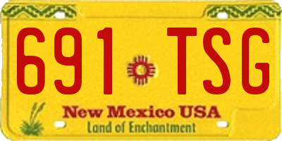 NM license plate 691TSG