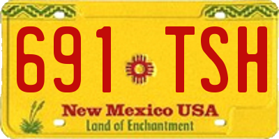 NM license plate 691TSH