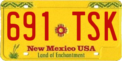 NM license plate 691TSK