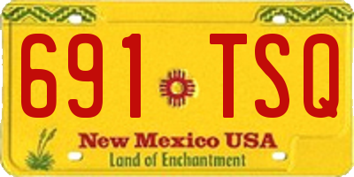 NM license plate 691TSQ
