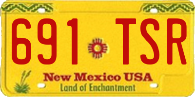 NM license plate 691TSR