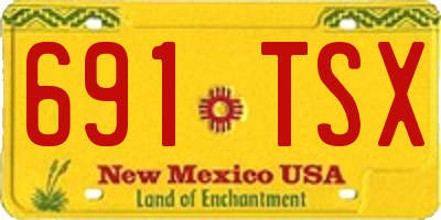 NM license plate 691TSX