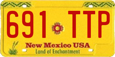 NM license plate 691TTP