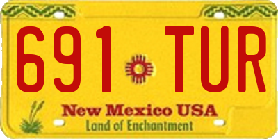 NM license plate 691TUR