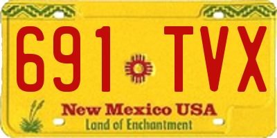 NM license plate 691TVX