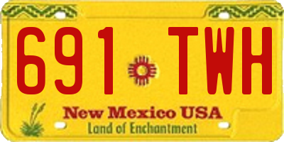 NM license plate 691TWH