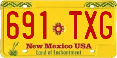 NM license plate 691TXG