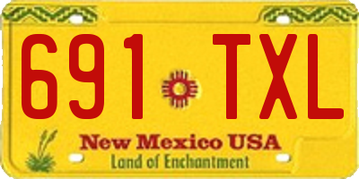 NM license plate 691TXL