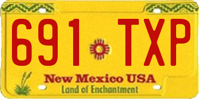 NM license plate 691TXP