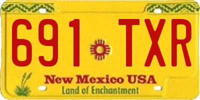 NM license plate 691TXR