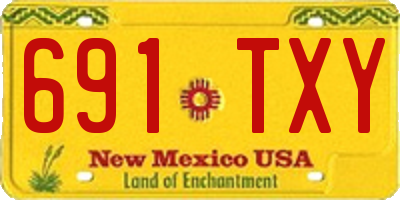 NM license plate 691TXY