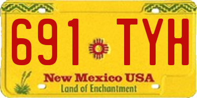 NM license plate 691TYH