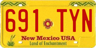 NM license plate 691TYN