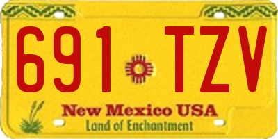 NM license plate 691TZV