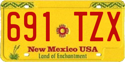 NM license plate 691TZX