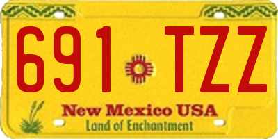 NM license plate 691TZZ