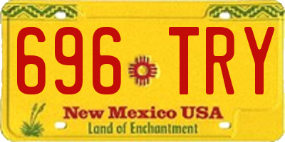 NM license plate 696TRY