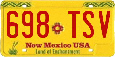NM license plate 698TSV