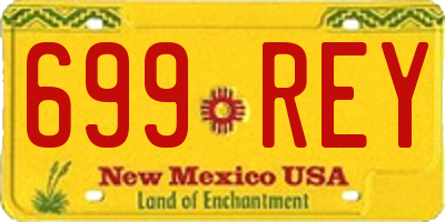 NM license plate 699REY