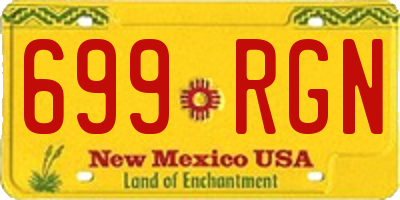 NM license plate 699RGN