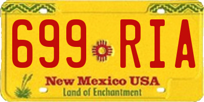 NM license plate 699RIA