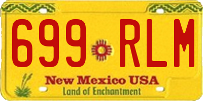 NM license plate 699RLM