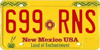 NM license plate 699RNS