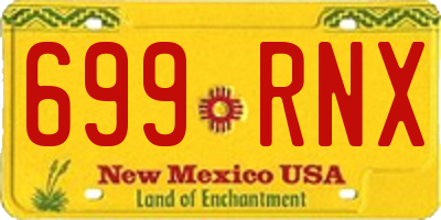 NM license plate 699RNX