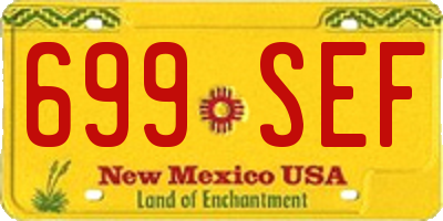 NM license plate 699SEF