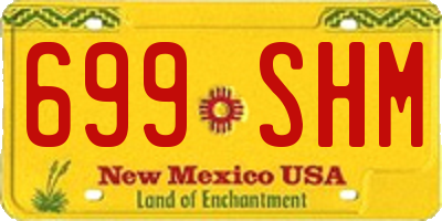 NM license plate 699SHM