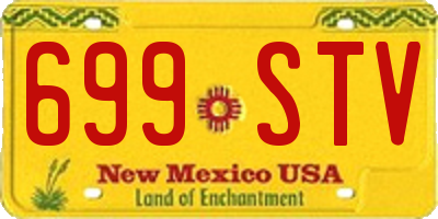 NM license plate 699STV