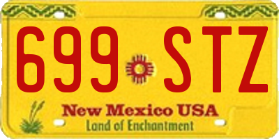 NM license plate 699STZ