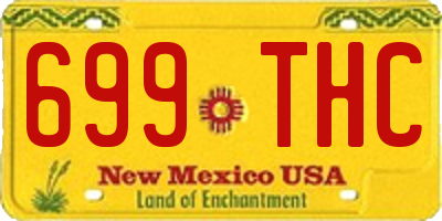 NM license plate 699THC
