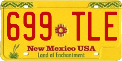 NM license plate 699TLE