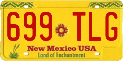 NM license plate 699TLG