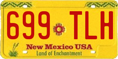 NM license plate 699TLH