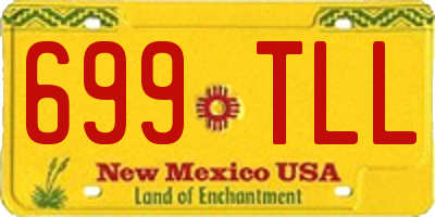 NM license plate 699TLL