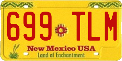 NM license plate 699TLM