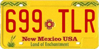 NM license plate 699TLR