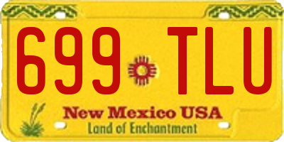 NM license plate 699TLU