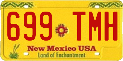 NM license plate 699TMH