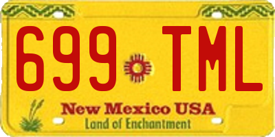 NM license plate 699TML