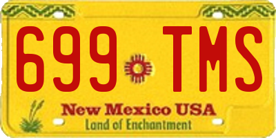 NM license plate 699TMS