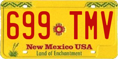 NM license plate 699TMV