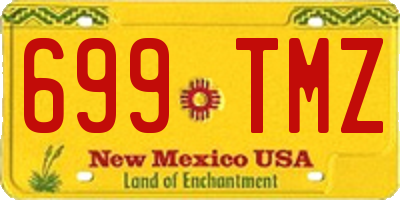 NM license plate 699TMZ