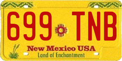 NM license plate 699TNB