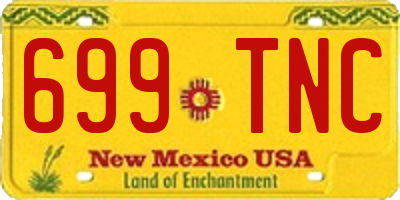 NM license plate 699TNC