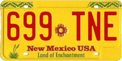 NM license plate 699TNE